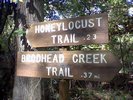 Two signs for Honeylocust Trail and Brodhead Creek Trail