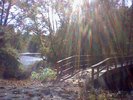 A bridge over a stream with a pretty, accidental halo effect