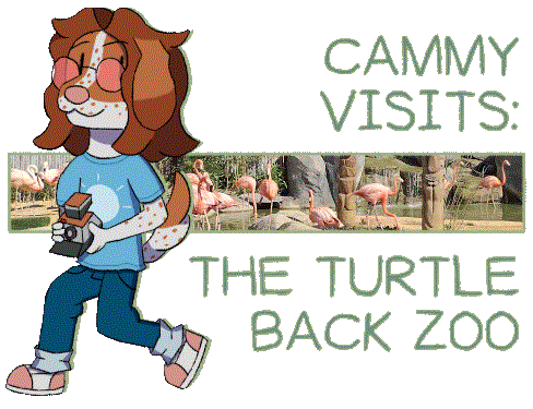 Cammy Visits: The Turtle Back Zoo