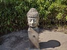 A buddha head statue in a rest area