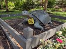 A big turtle statue in another rest area