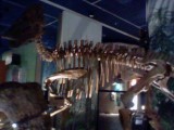 Edmontosaurus