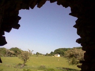 A big field of animals seen from a hole in Ogmore's wall