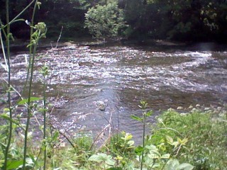 The River Taff