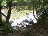 A shaded view of the river through a neat little tree hole