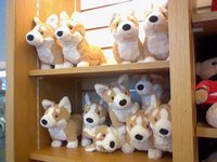 Corgi plushies at the gift shop