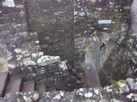 Some stairs