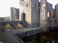 More peeking out over the moat