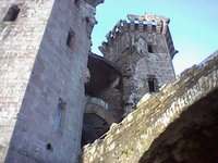 Looking up at the towers above