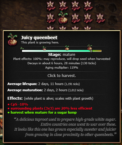 My juicy queenbeet growing setup