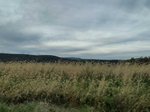 Flying through fields