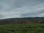 Flying through more fields