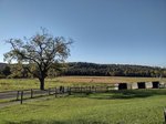 I really do live out in the middle of nowhere