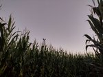 Starting to get a little dark