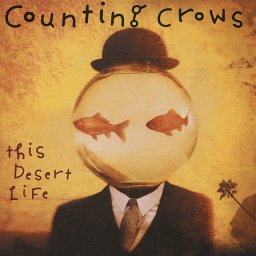 This Desert Life album art